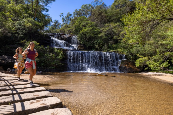 Blue Mountains Gallery