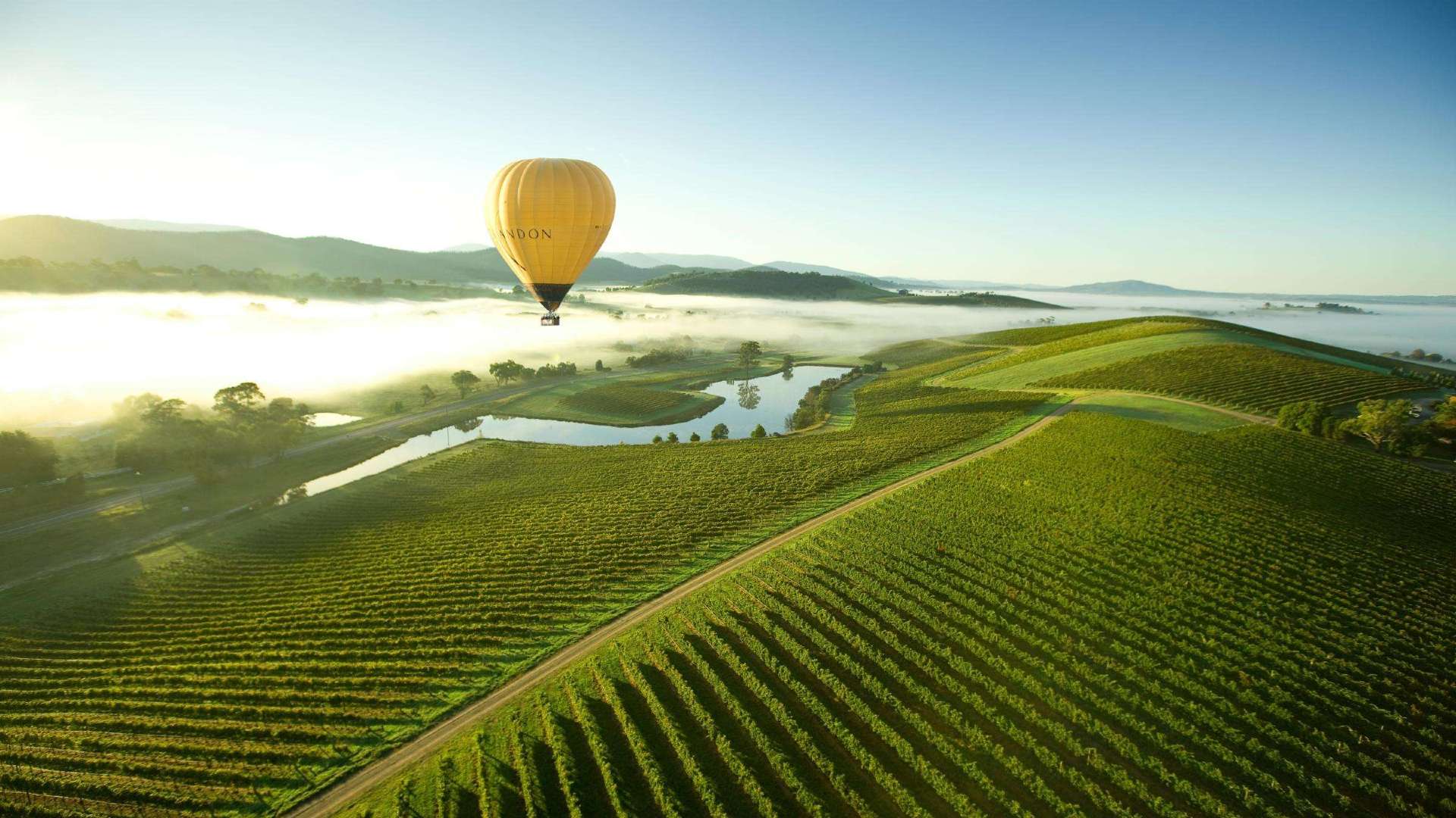 Yarra Valley & Dandenong Ranges