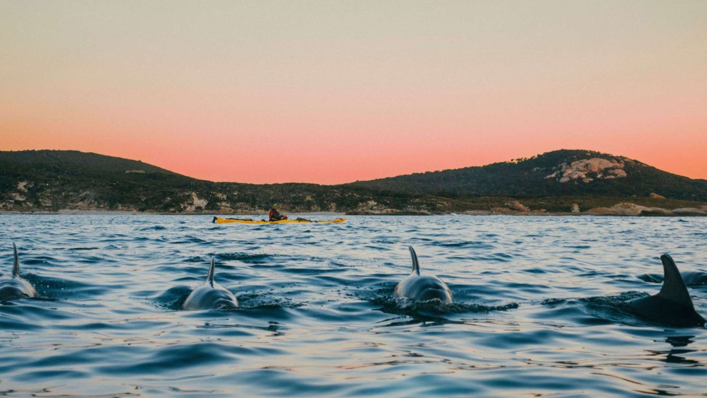 Flinders Island