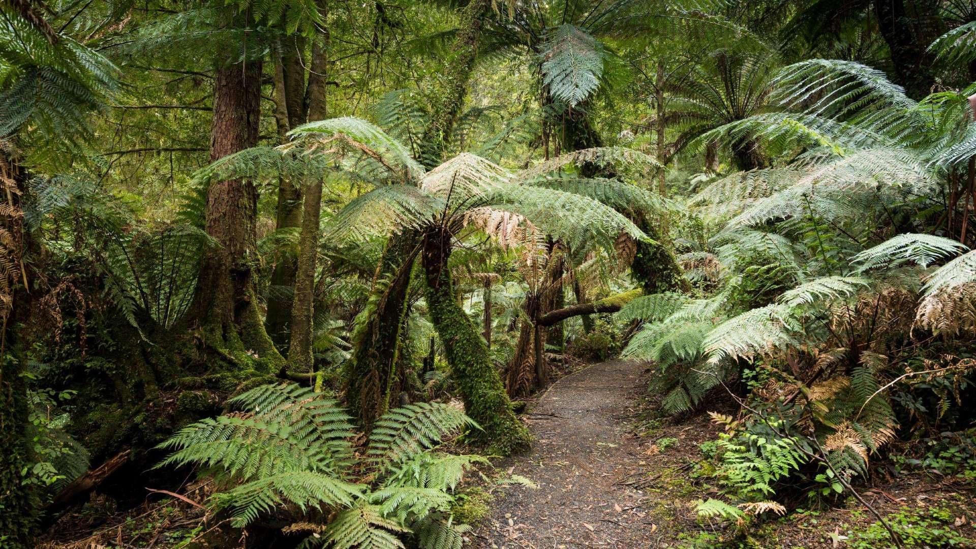 Gippsland